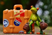 免費(fèi)游戲禮包，開啟你的冒險(xiǎn)之旅