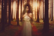 白狐之夢，神秘與幻想的交織，白狐之夢，神秘與幻想的交織