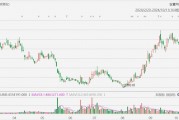 美股異動(dòng)丨極星汽車一度大跌超12%，前9個(gè)月總交付量同比減少22.8%