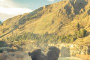 探索Mia免費游戲世界，一個全新的冒險旅程，進(jìn)入Mia的免費游戲世界，全新冒險旅程的探索開始！
