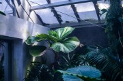 蘋果版的免費(fèi)生存類游戲，探索、建造與生存，打造屬于你自己的蘋果版生存世界，一款豐富的探索與建造類游戲
