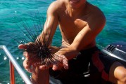 夢到捉魚的奇幻之旅，夢中的捉魚奇幻之旅