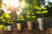 金融市場會(huì)有怎樣的投資機(jī)會(huì)評(píng)估方法呢