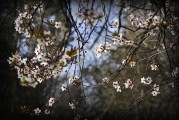 周公解夢之夢到刮大風(fēng)，周公解夢，夢到刮大風(fēng)的含義