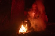 市長遭質問一言不發(fā)、連續(xù)兩天誤發(fā)警報 美演員吐槽：消防員倒是跑挺快
