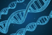 英雄與將軍的注冊(cè)步驟詳解，深入解析，如何成功注冊(cè)成為一名英雄和將軍