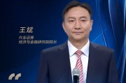 興業(yè)證券王斌：爭做“活躍資本市場、提振投資者信心”的排頭兵