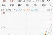 連續(xù)漲停又跌停！一批公司提示風(fēng)險(xiǎn)