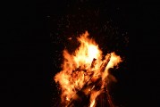夢(mèng)中的虎影，一次與猛虎的較量，夢(mèng)中的虎影，一次與猛虎的較量