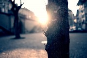 夢(mèng)中的破碎之光——燈泡碎了的寓意與解讀，夢(mèng)中的破碎之光，燈泡碎了的深層寓意與解讀