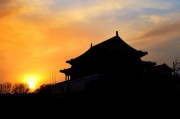 夢回紫禁城——故宮之夢的探索，夢回紫禁城，故宮歷史與文化探索之旅