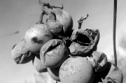 夢(mèng)中的啟示，夢(mèng)到別人殺蛇的深層含義，夢(mèng)中的啟示，夢(mèng)到別人殺蛇的深層含義解析