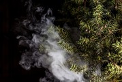 蒸汽朋克風(fēng)格的植物大戰(zhàn)僵尸，植物刺客，一款無需付費的游戲，蒸汽朋克植物戰(zhàn)爭僵尸，免費游戲帶你體驗?zāi)┤丈?>
                            </a>
                            <div   id=