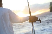 夢游深海，與巨魚共舞，夢游深海，共舞巨魚之旅