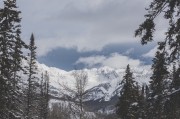 夢中的冒險之旅，夢中的冒險之旅之旅，奇幻探索的夢境之旅