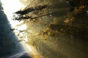 夜色游戲免費(fèi)？這是一個(gè)引人入勝的話題，它涉及了虛擬現(xiàn)實(shí)游戲、電子競(jìng)技、人工智能等多個(gè)領(lǐng)域。夜色游戲自由雖然看起來非常吸引人，但實(shí)際上，這個(gè)詞語所蘊(yùn)含的含義卻有所不同。，虛實(shí)之間，夜色游戲的雙面性探討