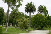 官方網(wǎng)站花架搭建指南，打造視覺(jué)盛宴的綠色空間，打造綠色視覺(jué)盛宴，官方網(wǎng)站花架搭建全攻略，官方網(wǎng)站綠色花架搭建全攻略，打造視覺(jué)盛宴的綠意空間