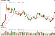 股價(jià)集體閃崩 光模塊三劍客錯(cuò)殺還是重估？