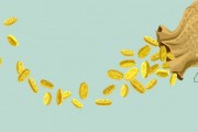 互換便利大幅提高機(jī)構(gòu)潛在杠桿能力，16萬億元險(xiǎn)資蓄勢(shì)待發(fā)