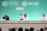 COP29氣候大會(huì)臨近，歐美金融高管參會(huì)熱情降溫