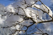 夢(mèng)中大雪紛飛，厚雪之下的世界，夢(mèng)中大雪紛飛，厚雪之下的世界探索