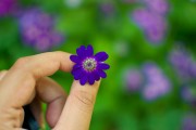 芭比打扮游戲免費(fèi)下載，讓小女孩過(guò)上精致的生活，芭比打扮游戲