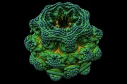 手機風(fēng)水羅盤下載安裝_免費下載手機風(fēng)水羅盤