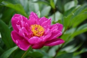 花啦花啦注冊難題解析，常見問題及解決方案，花啦花啦注冊攻略，常見問題解答與解決方案