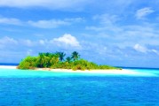海魚之夢，探索夢境深處的海洋奧秘，海魚之夢，探索夢境深處的海洋奧秘