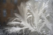 夢(mèng)中的火光——家起之驚，夢(mèng)中的火光，家起之驚
