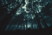 夢(mèng)與眼眸的神秘交織，夢(mèng)與眼眸的神秘交織