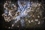 周公解夢(mèng)之夢(mèng)到下大雪的寓意與解讀，周公解夢(mèng)，夢(mèng)到下大雪的寓意與解讀