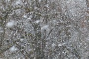 雪舞夢(mèng)境——我的夢(mèng)中雪景，雪舞夢(mèng)境，我的夢(mèng)中雪景的詩意之旅