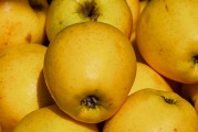 日本Rapidus公司正與蘋果、谷歌洽談芯片大規(guī)模生產(chǎn)事宜