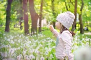 夢(mèng)境中的鴨子之旅，夢(mèng)境中的鴨子奇幻之旅