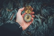 夢中的白發(fā)生長，一次關(guān)于時間、衰老與自我認知的探索，夢中的白發(fā)生長，時間、衰老與自我認知的探索