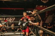 格斗游戲的狂熱與挑戰(zhàn)——探尋免費(fèi)版的力量，探索付費(fèi)格斗游戲，免費(fèi)版本的力量