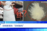“羽絨騙局”曝光：兒童羽絨服也造假，檢測(cè)報(bào)告成本一兩元錢(qián)