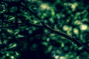 夢(mèng)到洗臉，解讀夢(mèng)境的深層含義，夢(mèng)境解讀，洗臉的深層含義
