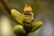 植物僵尸大逃殺——一款無(wú)限可能的植物僵尸生存射擊游戲，植物僵尸大逃殺，刺激的僵尸射擊生存挑戰(zhàn)