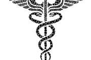 夢(mèng)中蛇影，解析頻繁夢(mèng)到蛇的神秘現(xiàn)象