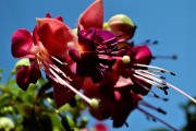 紅塵免費(fèi)游戲，讓夢(mèng)想在指尖綻放，實(shí)現(xiàn)夢(mèng)想，只需指尖輕輕一抹，紅塵的游戲?qū)呦蜉x煌