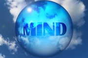 理解并追求網(wǎng)站流量，一個關鍵因素的探索，最大化網(wǎng)站流量，深入探討這一關鍵要素
