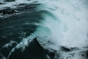 夢(mèng)中的蛇海——一次神秘的心理探險(xiǎn)，夢(mèng)中的蛇海，一次神秘的心理探險(xiǎn)之旅