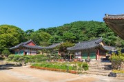 夢(mèng)中的攀爬之旅，夢(mèng)中的攀爬之旅之旅