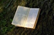 夢(mèng)到書(shū)，一場(chǎng)心靈與知識(shí)的奇妙旅程，夢(mèng)中的書(shū)，心靈與知識(shí)的奇妙旅程