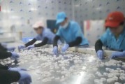 查封！關停！各地多部門連夜查處3·15曝光問題