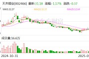 天齊鋰業(yè)：2024年預(yù)計(jì)凈虧損71億元-82億元