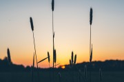 夢(mèng)境中的愛(ài)與激情，夢(mèng)境中的愛(ài)與激情之旅