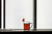 夢(mèng)中的禿頂之謎，探索內(nèi)心深處的自我啟示，夢(mèng)中的禿頂之謎，內(nèi)心深處的自我啟示探索